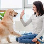 Educazione-alimentare-del-cane