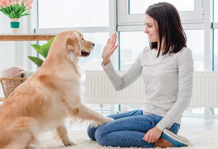 Educazione-alimentare-del-cane