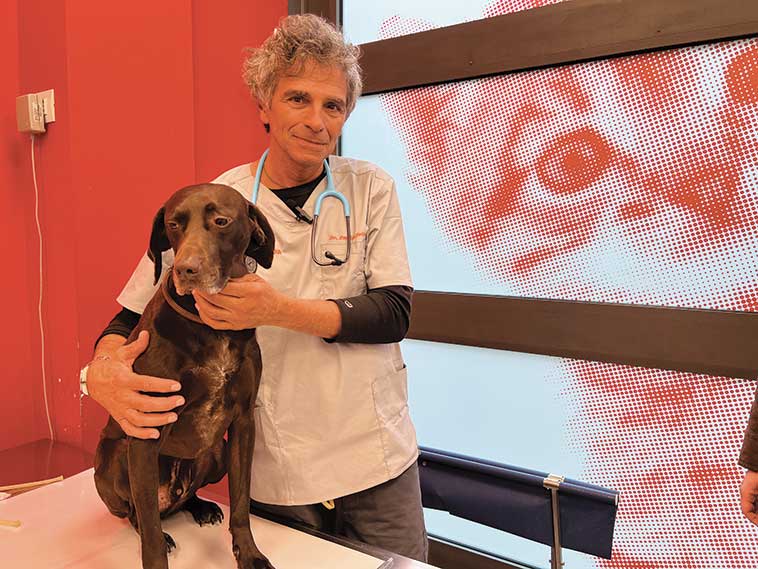 La medicina del dolore per cani e gatti presso cliniche ca zampa