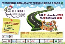 A-Natale-rimetti-in-circolo-cucce-ciotole-giochi-inutilizzati