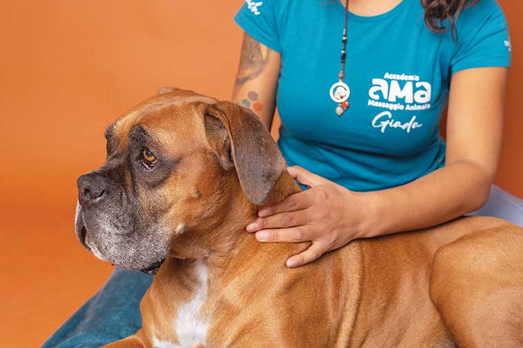 Una massaggiatrice AMA con il cane