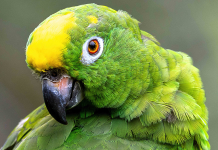 Raggio di Sole presenta le novità della linea FLY Raggio-di-sole