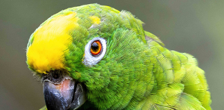 Raggio di Sole presenta le novità della linea FLY Raggio-di-sole