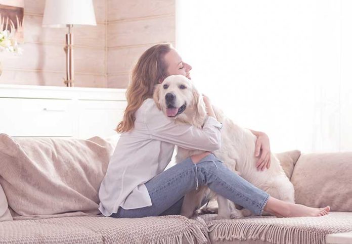 shutterstock_1409755358_alimenti_per_cani_sensibili alimenti_per_cani_sensibili