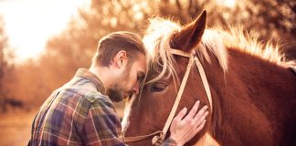 Autunno-come-sta-il-nostro-cavallo