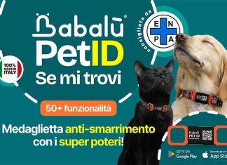 Babalù PetID Semitrovi babalù-petid