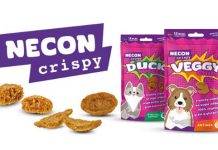 necon-crispy-marzo-2026