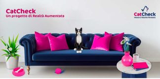 cat-check-realta-aumentata