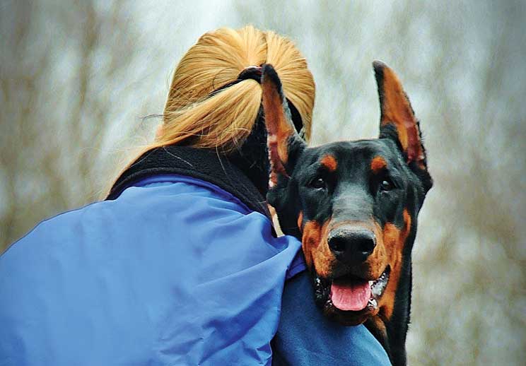 Formazione continua tra il cane e l'amico umano