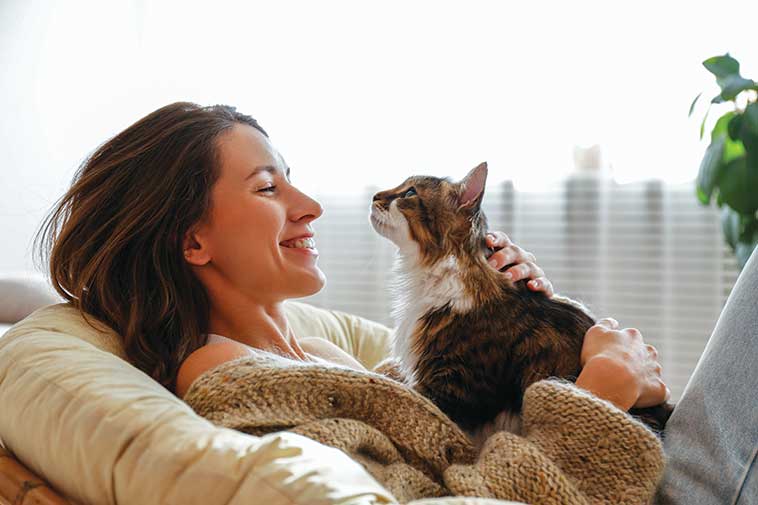 come prendersi cura del proprio animale domestica gatto assieme alla sua proprietaria sul divano