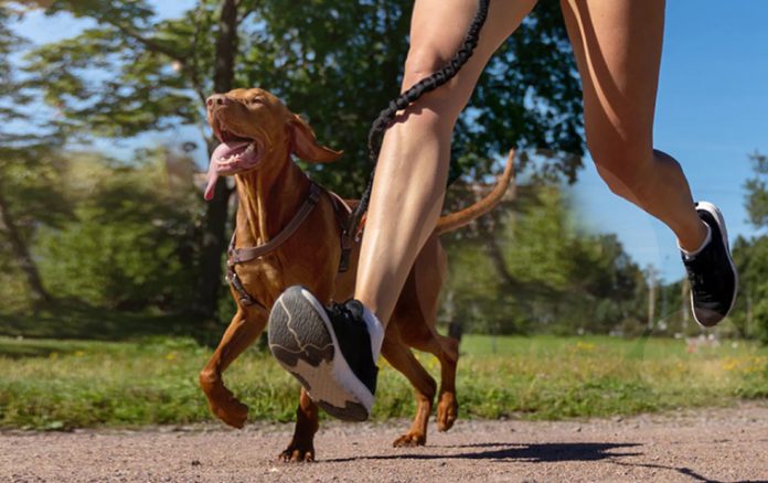 nulo-linea-alimenti-premium-cane