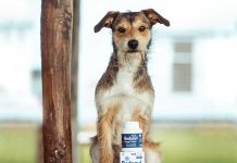 salute-cute-mantello