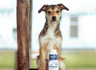 salute-cute-mantello