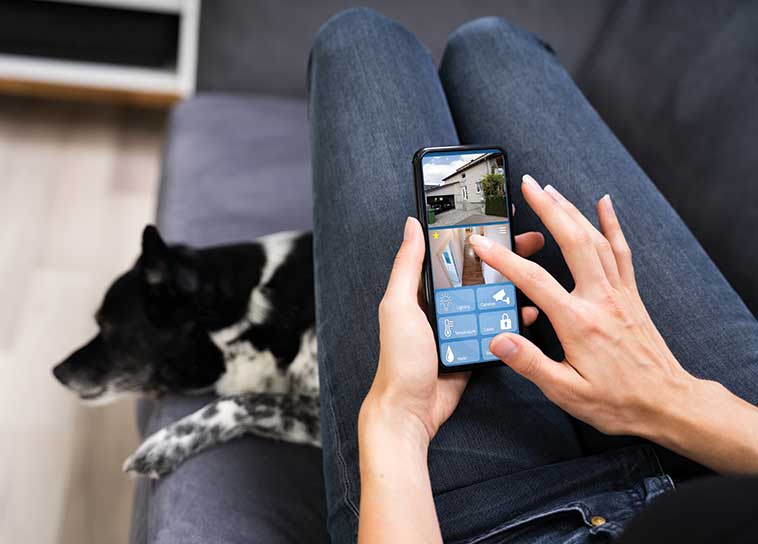 Smart home e animali domestici