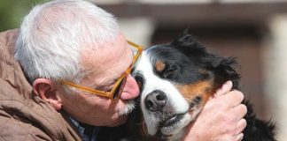 educare-cane-anziano-adottato