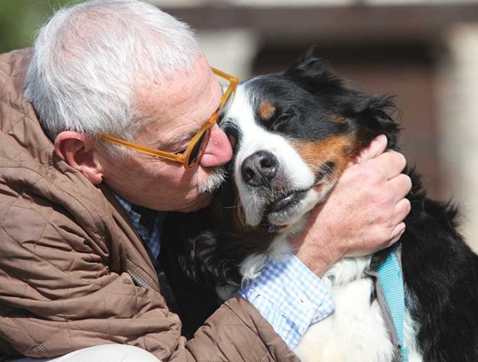 educare-cane-anziano-adottato