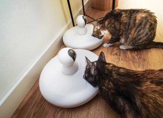 Animali e smart home oggetti-per-animali-smart