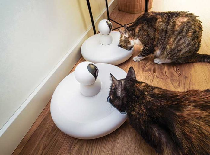 oggetti-per-animali-smart