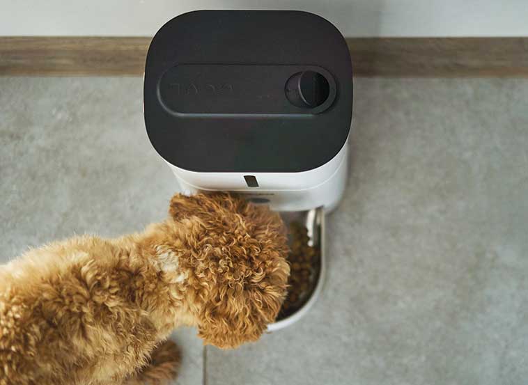 Dispencer cibo per cani