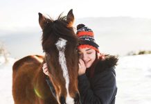 curare-ansia-e-stress-nei-cavalli