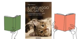 libro-linguaggio-gatto
