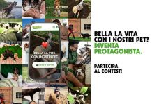 Contest fotografico: “Bella la vita con i nostri Pet” contest-vetoquinol-maggio-2026