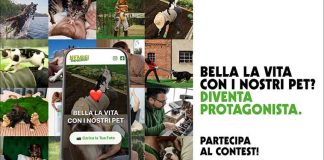 contest-vetoquinol-maggio-2026