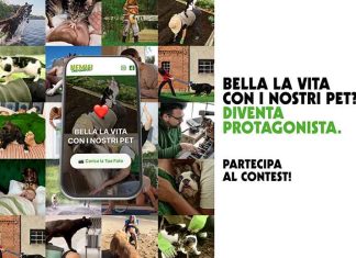 contest-vetoquinol-maggio-2026