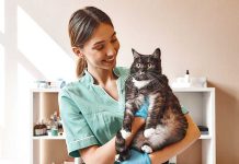 iStock-1142169815-gatto-controllo-veterinario-oncologia