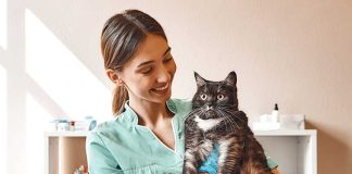 iStock-1142169815-gatto-controllo-veterinario-oncologia