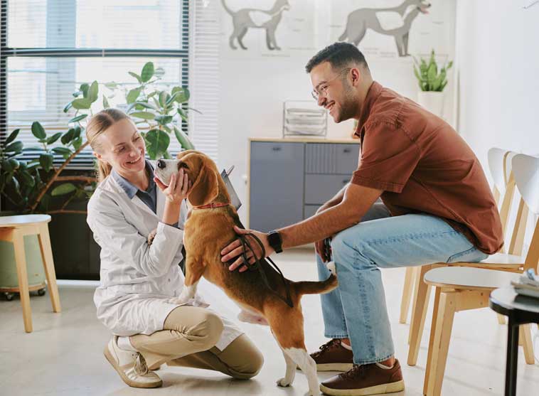 Oncologia veterinaria