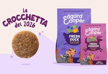 la-crocchetta-del-2026-edgard-cooper