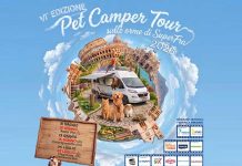 super-fra-pet-camper-tour