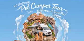 super-fra-pet-camper-tour