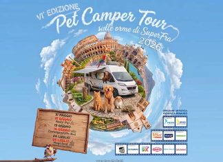 super-fra-pet-camper-tour