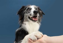 iStock-1300349252-futuro-rinforzo-positivo