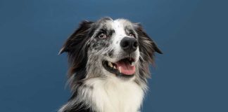iStock-1300349252-futuro-rinforzo-positivo