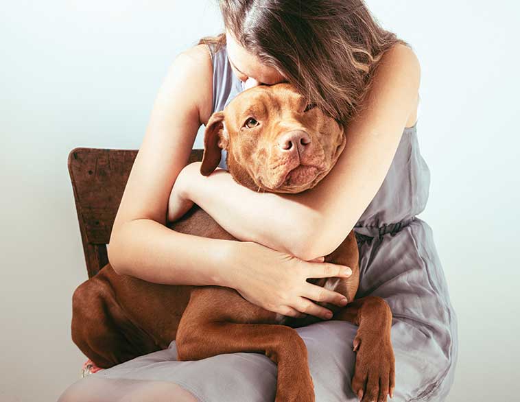 Cane coccolato dalla proprietaria