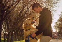 iStock-1308539873-cane-dominanza-proprietario