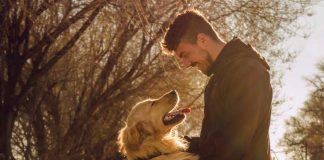 iStock-1308539873-cane-dominanza-proprietario