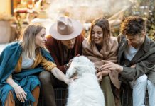iStock-1323613645-cane-sociale-educazione-luoghi-pubblici