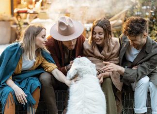 iStock-1323613645-cane-sociale-educazione-luoghi-pubblici