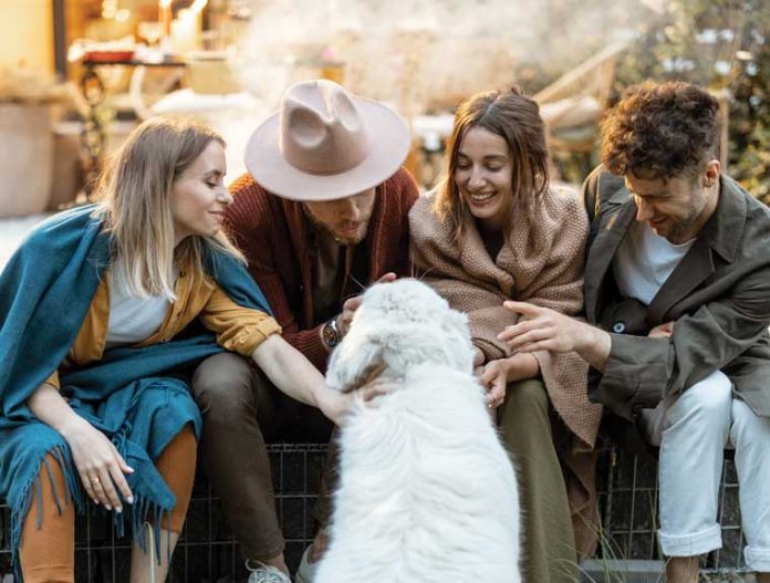 iStock-1323613645-cane-sociale-educazione-luoghi-pubblici iStock-1323613645-cane-sociale-educazione-luoghi-pubblici