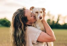 iStock-1498993227-cane-comportamento-autismo