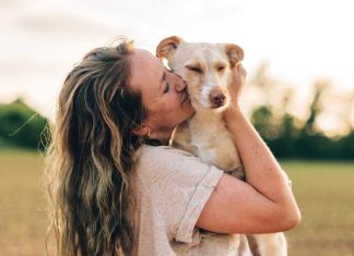 Autismo nei cani iStock-1498993227-cane-comportamento-autismo