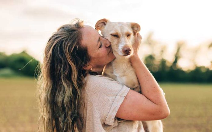 iStock-1498993227-cane-comportamento-autismo iStock-1498993227-cane-comportamento-autismo