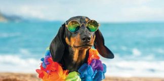 iStock-1301914095-accessori-estate