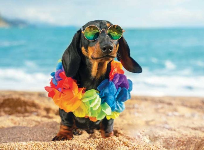 iStock-1301914095-accessori-estate