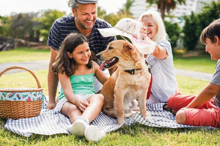 Cane in vacanza con la famiglia