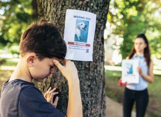 Pet Detective iStock-1405365006-animale-smarrito-disperazione